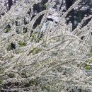 광려천 남로 이미지