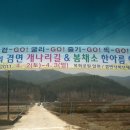 개나리길 Daum카페