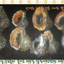갯벌이야기펜션