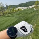 골프 팩트 | 보이스캐디 T12 PRO 리뷰, 카스카디아cc 라운딩 후기와 골프 워치 저렴하게 구입하는 법