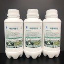 경기도 광주시 농업기술센터 이미지