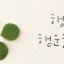엄지척이시니 ... 이미지