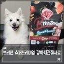 정읍지역자활센터(반려동물 영양간식 연구소) | 강아지사료 추천 스피츠 밀크를 위한 브리젠 슈퍼프리미엄 강아지관절사료
