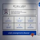 맹그로브 동대문 브런치