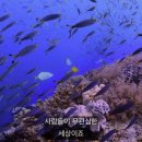 좋은환경 이미지