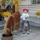 사이언스 미니어처 이미지