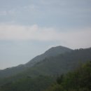 고지농장 이미지