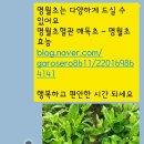 소통농장 이미지