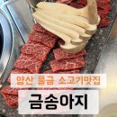 금송아지 | 양산 물금 범어리 맛집 금송아지 방문 후기