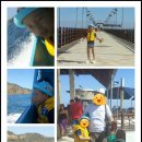 당나귀호스텔 이미지