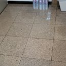 에코 크리너스 이미지