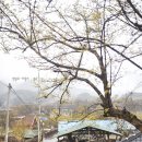 대음여성경로당 이미지