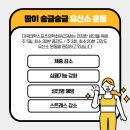 젤로스피닝 이미지