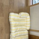 한옥스테이 단아루 | [전남 구례 펜션] 반려동물 동반이 가능한 독채 펜션, 한옥스테이 단아루 : 내돈내산 후기