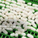 꿀떡 떡볶이 이미지