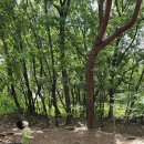 구슬치기 이미지