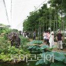 녹색나라