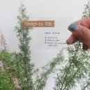 디자인바이지희(Design by지희) | 광주 첨단 미용실 추천 💇‍♀️ 디자인바이 지희 숏컷 16년 단골