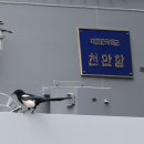 진해구 ⓒ-19 이미지