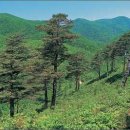 백두대장정 이미지