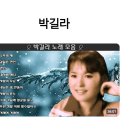 나무와새