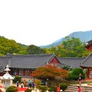 선운사의추억 이미지