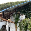 스테이 인 공간 이미지