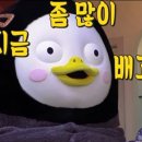 가야밀면김치삼겹살 이미지