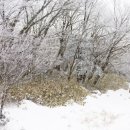 보리농장 이미지