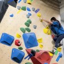 제5기 암벽등반교실 기초반 | 종로 놀거리 이색 데이트 - 난생처음 도전한 클라이밍! 서울숲 클라이밍 종로점 왕초보 클라이밍 입문 후기