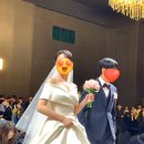 잇츠스킨 톤업크림 구매 후기 청담샵 대박 웨딩 꿀템