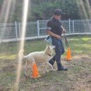 박순호의 아이슬란드 이미지