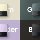 브라운버즈 이미지