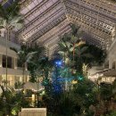 마트킹(진주본점) | 두짓타니 파타야에서 보낸 연말 ( 프리미엄 킹 룸 / 바다전망 )