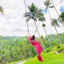 맑은 옷 | 인도네시아 발리 여행 실시간 4월 날씨 옷차림 건기 우기