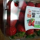 광훈농장 이미지