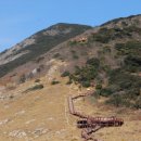 한조민박 이미지