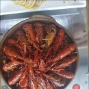 뚱보양꼬치 이미지