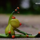 세연휘트니스헬스 네이버블로그