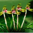 동세종농업협동조합주유소 이미지