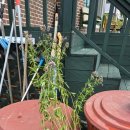 등골농장 이미지