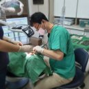 큐프라임인하치과의원 이미지