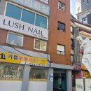 왁싱하리 - 강남구 선릉로 431 | 왁싱하리