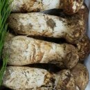 보경상사 이미지