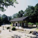 DMZ, 평화의 편지 Daum카페