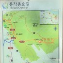 동작충효길 7코스 까치산길 이미지