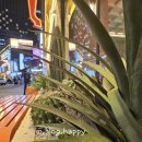 시청1길 | 시청역 술집 레츠펍 시청점 야장에서 시작해 3층까지 즐기는 오아시스 같은 맥주 성지 후기