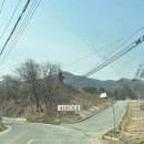 씨마켓세종 | 가볼만한곳] 용인 알솔레 바베큐 : 수영장 뷰 물멍부터 프라이빗 텐트까지, 제대로 힐링하고 온 후기 🍖🏊‍♂️