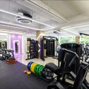 디프로PT 이미지