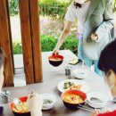 궁전라벤더 이미지